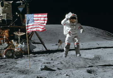 NASA запретило продавать трупы тараканов с лунной пылью Apollo 11