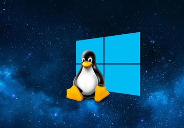 «Через десять лет про Windows в России никто и не вспомнит»: всем госструктурам России приказали срочно перейти на Linux