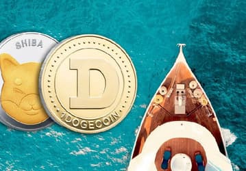 Теперь криптовалютами Shiba Inu и Dogecoin можно расплатиться за услуги аренды и покупку роскошных яхт
