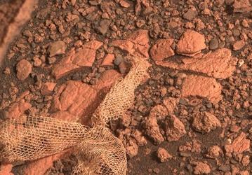 «Кожа марсианина» или «марсианская авоська»? Пользователи Сети гадают, что за объект сфотографировал ровер Perseverance на Марсе