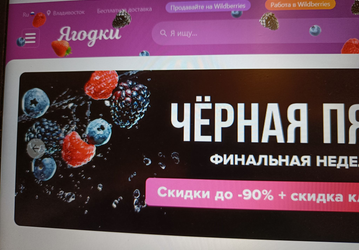 «Ручки-загребучки» и «ЮБабки» — вслед за «Ягодками» Wildberries «ЮMoney» и Ozon предлагают свои импортозамещённые названия