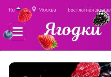 «Ягодки» вместо Wildberries. Российский маркетплейс получит импортозамещённое название