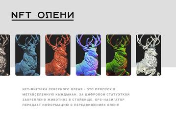 Якутия представила первую NFT-коллекцию оленей