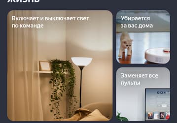 Дом под надзором. В приложении «Умный Дом с Алисой» появились камеры