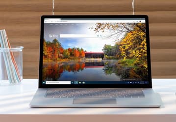 Microsoft может добавить ChatGPT в фирменный поисковик Bing