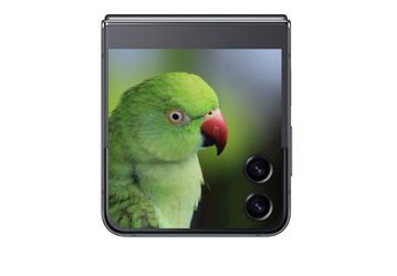 Samsung Galaxy Z Flip5 показали на первом качественном изображении