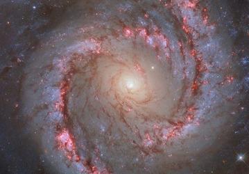 Галактика NGC 1566: космическая танцовщица с бесконечными спиральными рукавами (астрофото)