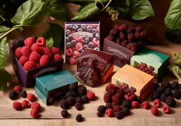Более 1000 новых брендов на Wildberries в 2023 году: от беспроводных наушников до умных телевизоров