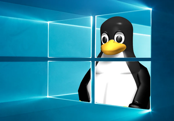 99% госорганизаций России могут к 2025 году полностью перейти с Windows на Linux