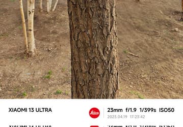 «Чрезвычайно естественные детали на Xiaomi 13 Ultra». Новый флагман Xiaomi сравнили с Galaxy S23 Ultra по уровню резкости на снимках