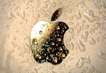 Apple отказалась от российских вольфрама, тантала и золота. Samsung продолжает их использовать