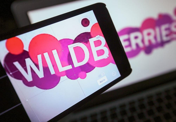 Продавцы с высоким рейтингом получат больше денег от Wildberries