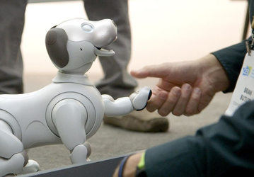 Sony запускает программу «приёмных семей» для своих стареющих собачек-роботов