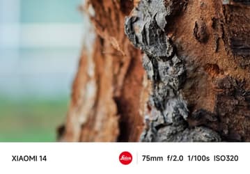 Инсайдер показал реальные фото, сделанные камерами Xiaomi 14 и Xiaomi 14 Pro – они мало чем отличаются от рекламных