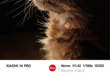 Так снимает Xiaomi 14 Pro. Примеры фото