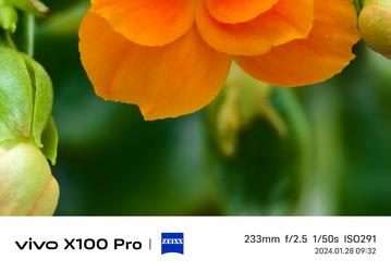 iPhone 15 Pro Max сразился с новейшим Samsung Galaxy S24 Ultra и другими Android-флагманами в новом тесте камер
