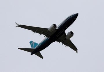 Проблемы Boeing продолжаются: в FAA вспомнили о прошлогодних столкновениях Boeing 737 MAX с птицами