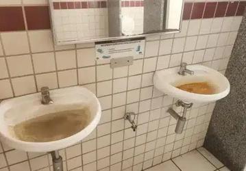 Работают в нечеловеческих условиях и пьют воду из луж: вокруг нового завода BYD разгорелся скандал, грядёт суд