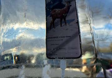 В «М.Видео» проверили: Honor Magic6 Pro прошёл испытания льдом и ударами в России