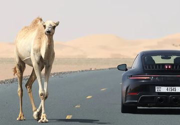 Совершенно новый и «чрезвычайно спортивный» Porsche 911 показали на официальных снимках