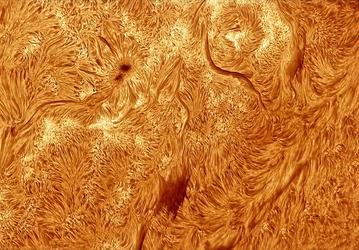 Солнце в деталях: астрофотограф запечатлел невероятные снимки поверхности нашей звезды