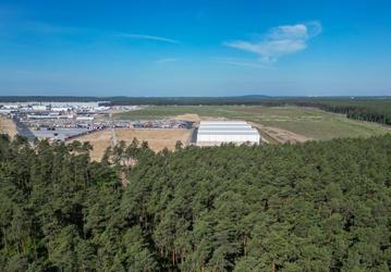 Tesla вырубила более 500 000 деревьев для строительства гигазавода в Германии. Эксперты оценивают последствия для окружающей среды и климата