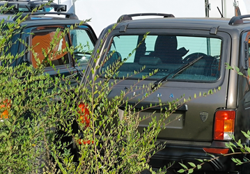 Lada Niva Bronto начали выпускать в новом цвете