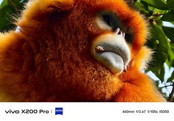 «Вторая революция» смартфонов после появления iPhone. Вице-президент Vivo показал, как снимают новейшие флагманы Vivo X200 Pro, Vivo X200 и Vivo X200 Pro mini