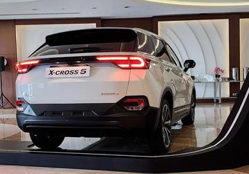 АвтоВАЗ продал всего 162 кроссовера Lada X-Cross 5 и семь Lada XRay в 2024 году