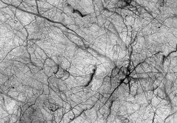 Камера HiRISE на борту орбитального аппарата NASA Mars Reconnaissance Orbiter сделала уникальное изображение Марса