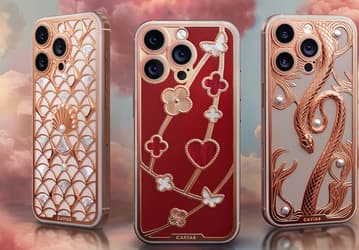 «Самый дорогой букет и сердце»: в России выпустили драгоценные iPhone 16 Pro ко Дню Святого Валентина