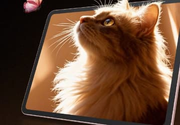 Большой и яркий 12-дюмовый экран 2.8К. Oppo готовит планшет Pad Air 5