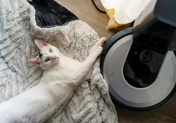 Roomba останется, акции — нет: iRobot уходит с биржи и становится частной компанией