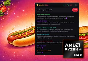 Является ли хот-дог сэндвичем? AMD локально и одновременно запустила восемь языковых моделей на процессоре Ryzen AI Max+ 395 и заставила их обсуждать этот вопрос