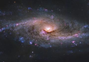 Телескоп «Хаббл» зафиксировал галактику NGC 4536 в стадии «звёздного взрыва»