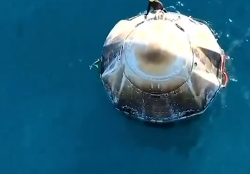 «Дракон приземлился». Спасательный Crew Dragon в океане встретили дельфины