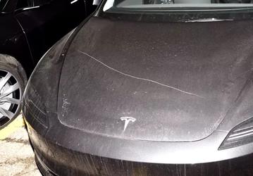 Произошла самая масштабная атака на автосалоны Tesla: только в одном дилерском центре пострадали более 80 автомобилей