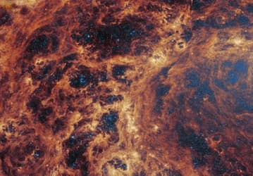 Черная дыра в центре галактики M83: космический телескоп «Джеймс Уэбб» помог разгадать многолетнюю загадку
