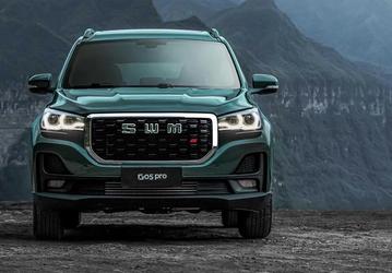 7-местный кроссовер российской сборки со 139-сильным мотором и автоматизированной коробкой передач — всего 1,8 млн рублей. В России подешевели кроссоверы SWM G01, G01F и G05 Pro