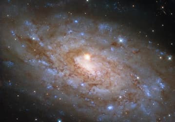 Звезда Млечного Пути и галактика NGC 5530 в 40 млн световых лет: «Хаббл» запечатлел оптическую иллюзию