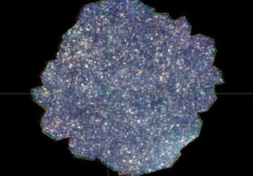 Объединение архивных снимков Herschel в инфракрасном диапазоне показало галактики, которых не должно существовать