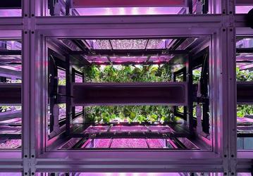 Урожай за 15 дней: автоматизированная система Opollo Farm выращивает свежую зелень в два раза быстрее и ближе к потребителю
