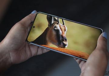 Разрушительное обновление: появление зеленой линии на экране смартфона Samsung впервые удалось заснять на видео