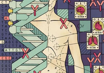 «Добро пожаловать в Nucleus Embryo». В США запустили «редактор» будущего ребёнка — родители могут задать желаемые цвет глаз, волос, рост и пол 