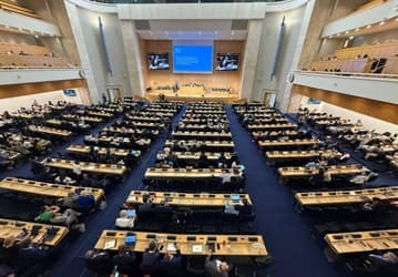 183 страны не смогли договориться: переговоры ООН по пластику снова провалились