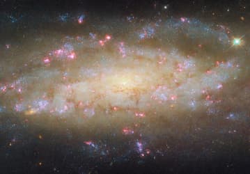 Снимок «Хаббла» раскрывает детали активной спиральной галактики NGC 7456 на краю Вселенной