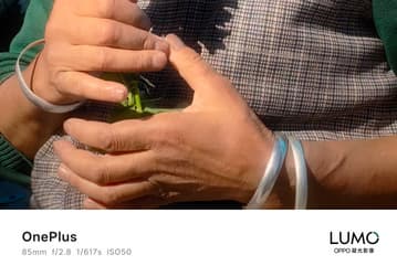 Больше не Hasselblad. OnePlus опубликовала фото, сделанные камерой OnePlus 15