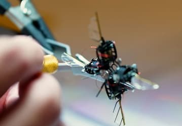 Американцы разработали робота-пчелу. Его можно будет использовать и на Марсе