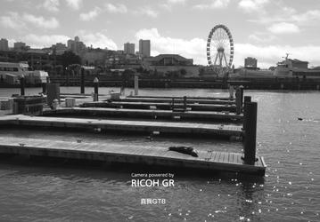 «Флагман уличной фотографии» с камерой Ricoh GR. Появились фотографии, сделанные на базовый Realme GT8