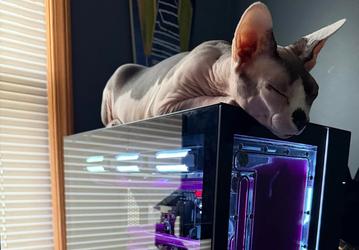 Ещё два процессора Ryzen 7 9800X3D сгорели, причём на это раз на системных платах Asus